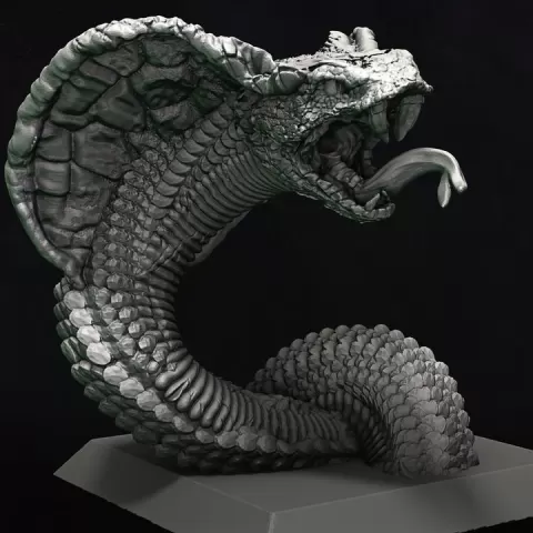 Cobra by Luis