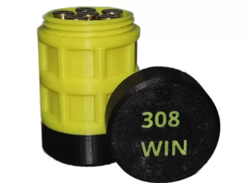 308 Winchester Quick Case