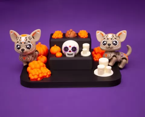 Chihuahua