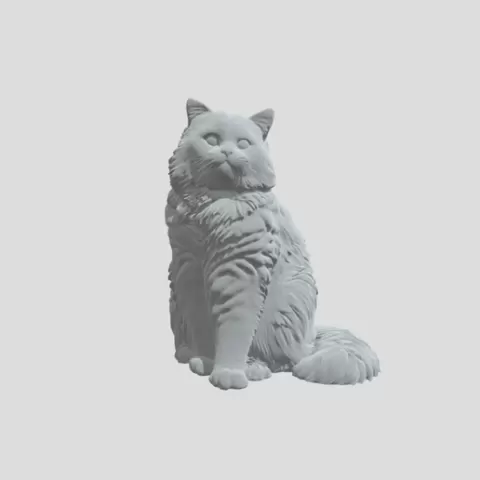 Detailed Cat