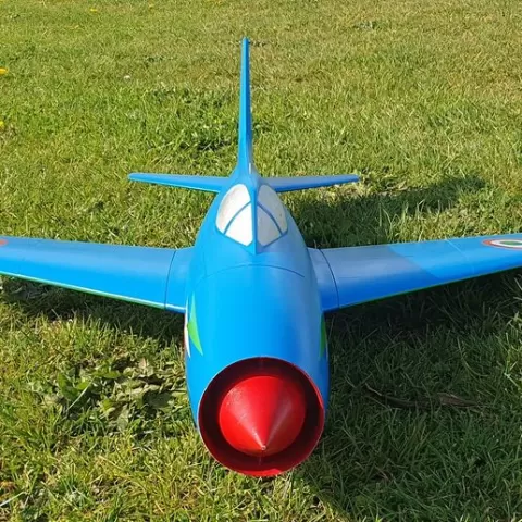 Il LEONE-70mm EDF RC jet