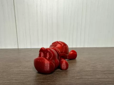 Flexi turtle