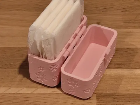SD/MicroSD card case