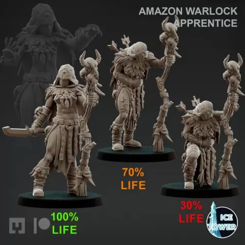 Hero - Amazon Warlock Apprentice (HP-100-70-30) by Ice Tower