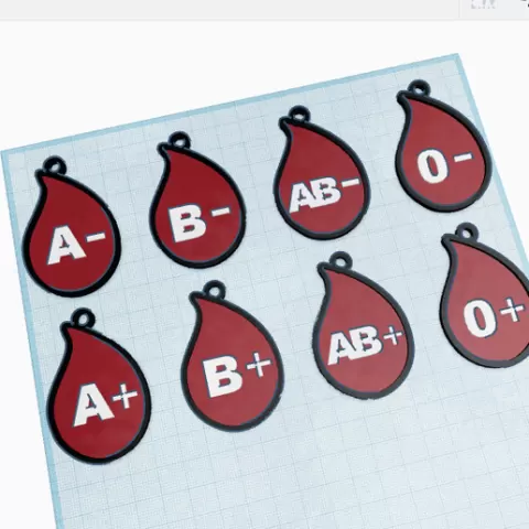 BloodType keychain
