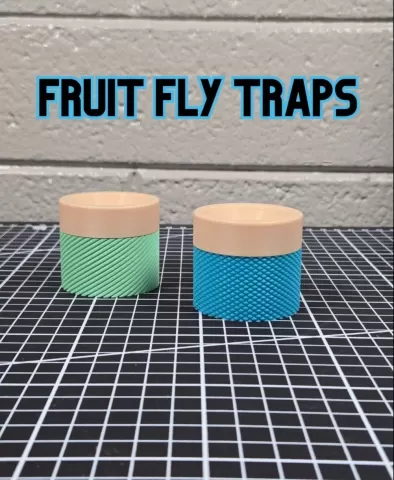 Fruit Fly Trap