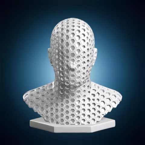 Hexagonal Hive Mind Bust 3D Printable