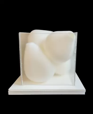 Vase Puzzle