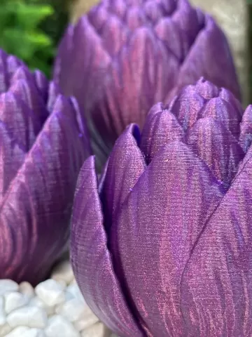 Artichokes