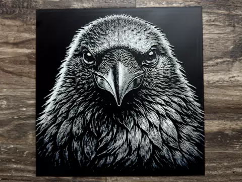Raven Wildlife Series