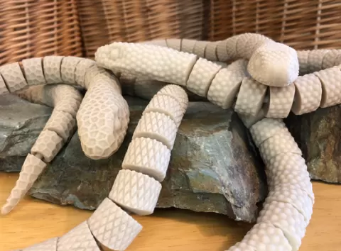 articulated snakes