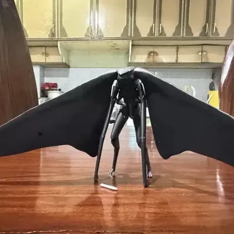 Articulated Hokmuto