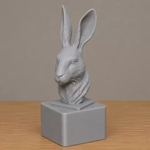 Rabbit
