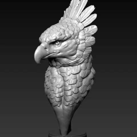 Harpy Eagle