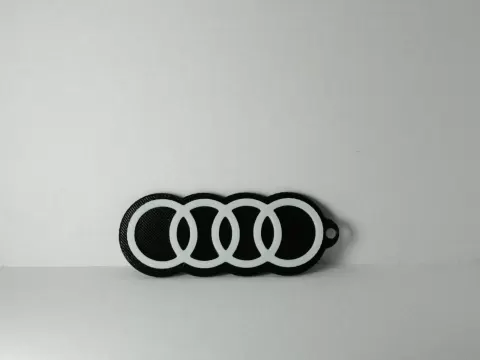 Audi Keychain