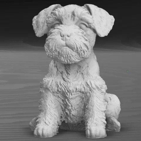 Mini Schnauzer