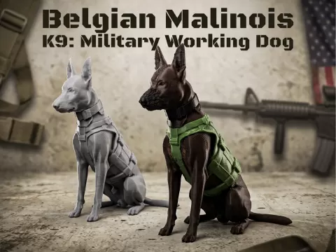 Belgian Malinois: K9 Military Working Dog