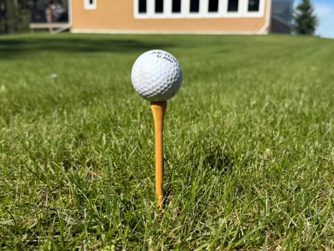 Long Golf Tee