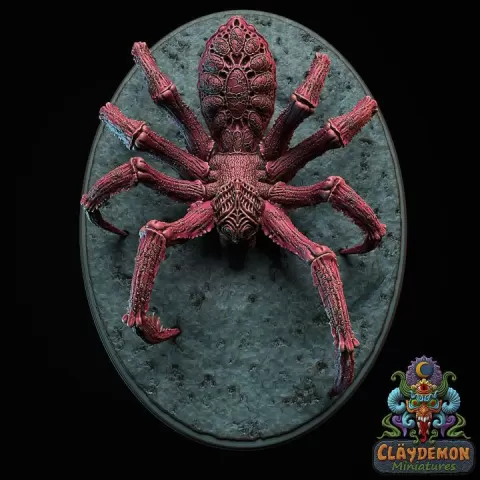 Common Spider by Claydemon Miniatures