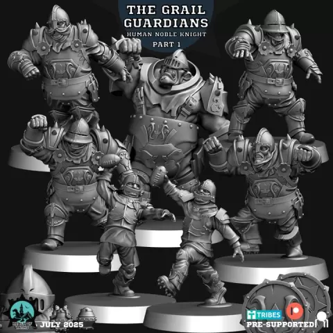 HUMAN NOBLE KNIGHT PART 1 - The Grail Guardian - Fantasy Football by Realm of Paths