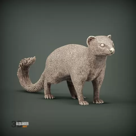 Slender Mongooses by Alexander3dart