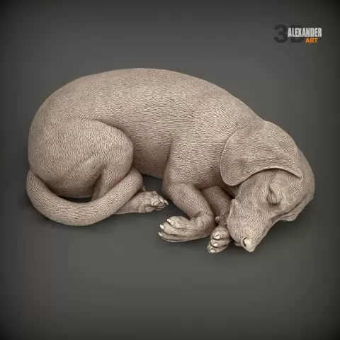 Beagle is sleeping by Alexander3dart