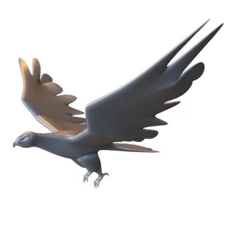 Soaring Eagle
