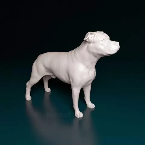 Amstaff by Giunninen Andrei