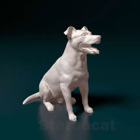 Mix breed dog by Giunninen Andrei