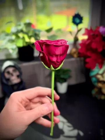 The Awakened Rose