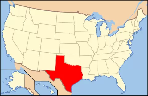 Texas Flexi Map