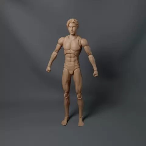 Mirrfig SCAN (Read Discricption)