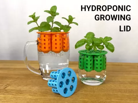 Hydroponic Growing Lid