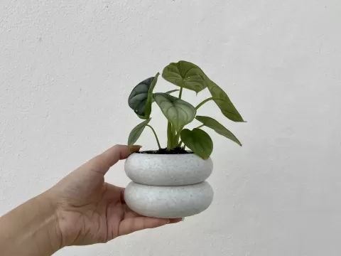 Double deck Plant Pot