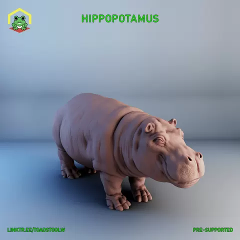 Hippopotamus by The Toadstool Weaver