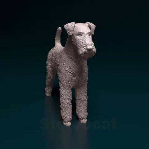 Airedale terrier by Giunninen Andrei