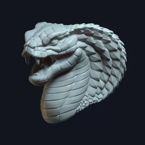Cobra Nagara v2 by diego