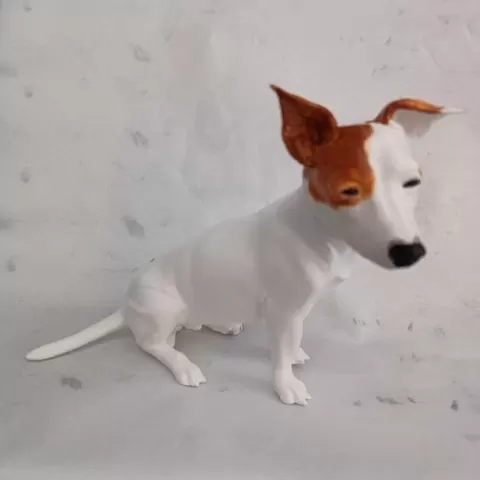 Jack Russell
