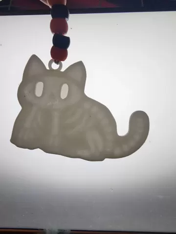 Xray Ghost Cat