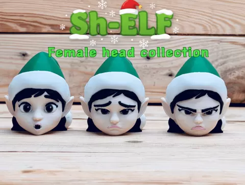 Sh-Elf Female Heads