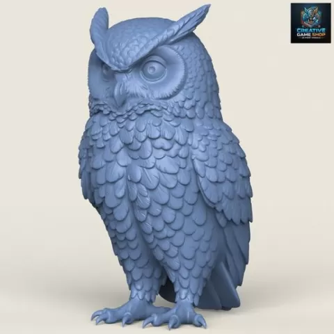 Wild Owl Bird