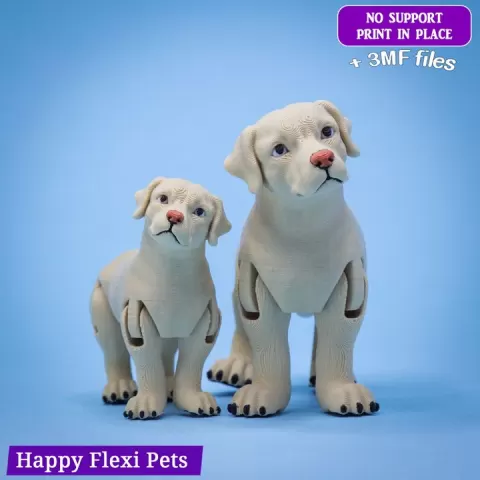 #31 Labrador retriever realistic dog articulated flexi toy v2026 (SNAP + 3MF) by Happy Flexi pets