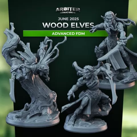 Arbiter Miniatures June 2025 Wood Elves Advanced FDM by Arbiter Miniatures - by Theis Haagh Jakobsen