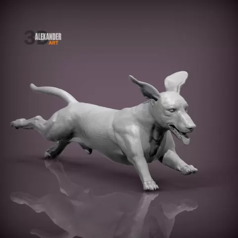 Dachshund is running by Alexander3dart