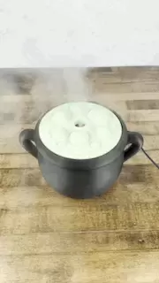 Cauldron Humidifier