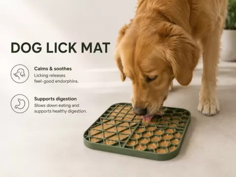 4-in-1 Dog Slow Feeder | Lick Mat & Enrichment