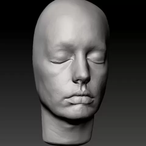Anne Hathaway Lifecast 3D Scan Head Likeness (The Dark Knight Rises, Catwoman, The Odyssey, The Devil Wears Prada, Interstellar)