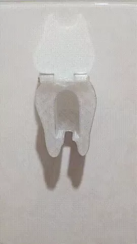 ToothBrush Holder