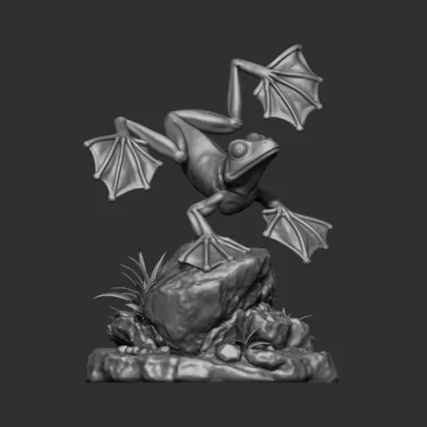 Wallace’s Flying Frog