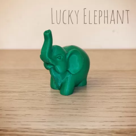 Lucky Elephant